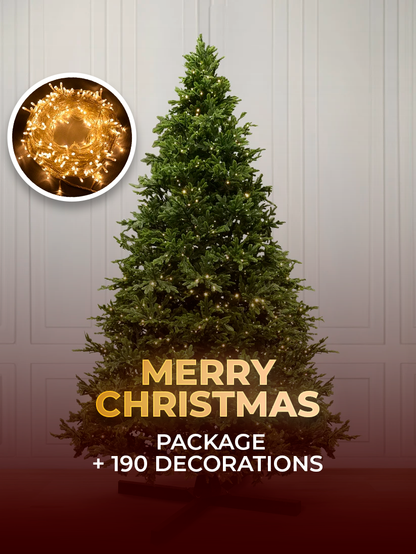 Merry Christmas Package + 190 Decorations 🎁🎄